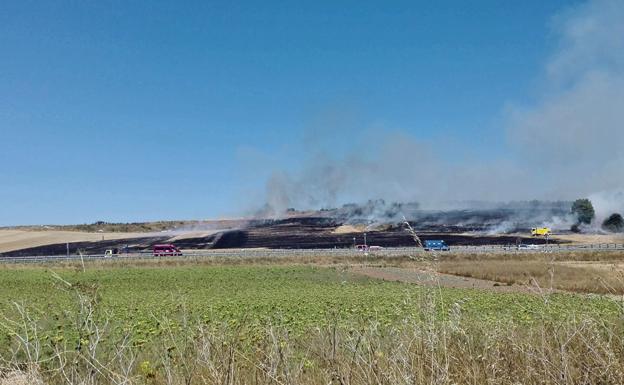 El incendio del lunes afectó a casi 3 hectáreas de alto valor ecológico del cinturón verde. 