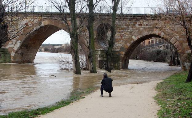 El río Duero a su paso por el Puente de Piedra en Zamora, donde han ocurrido los hechos. 