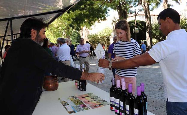 Hnos. Páramo Arroyo elaboran desde el año 2000 vinos ecológicos