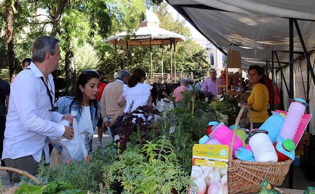 La Feria de la Biodiversidad está instalada en el Paseo Marceliano Santa María