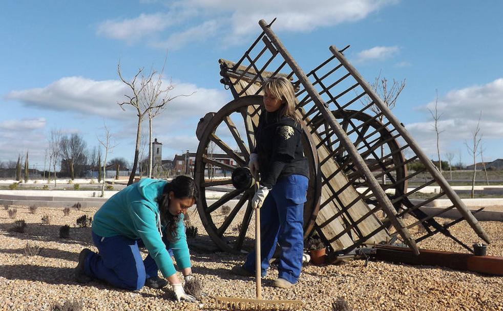 El 15 de octubre se celebra, desde hace diez año, el Día Internacional de la Mujer Rural. 