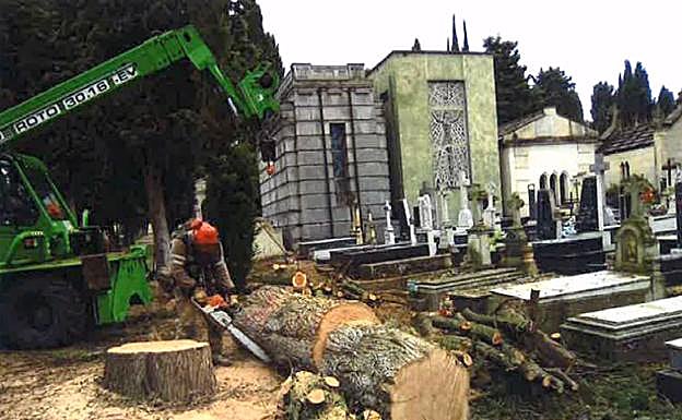 Imagen de los trabajos