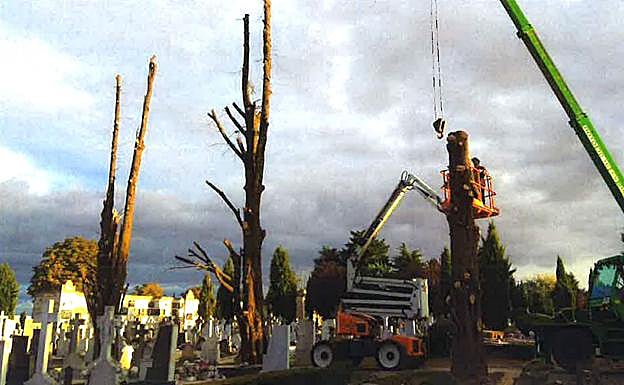 Se ha utilizado una plataforma elevadora y una grúa