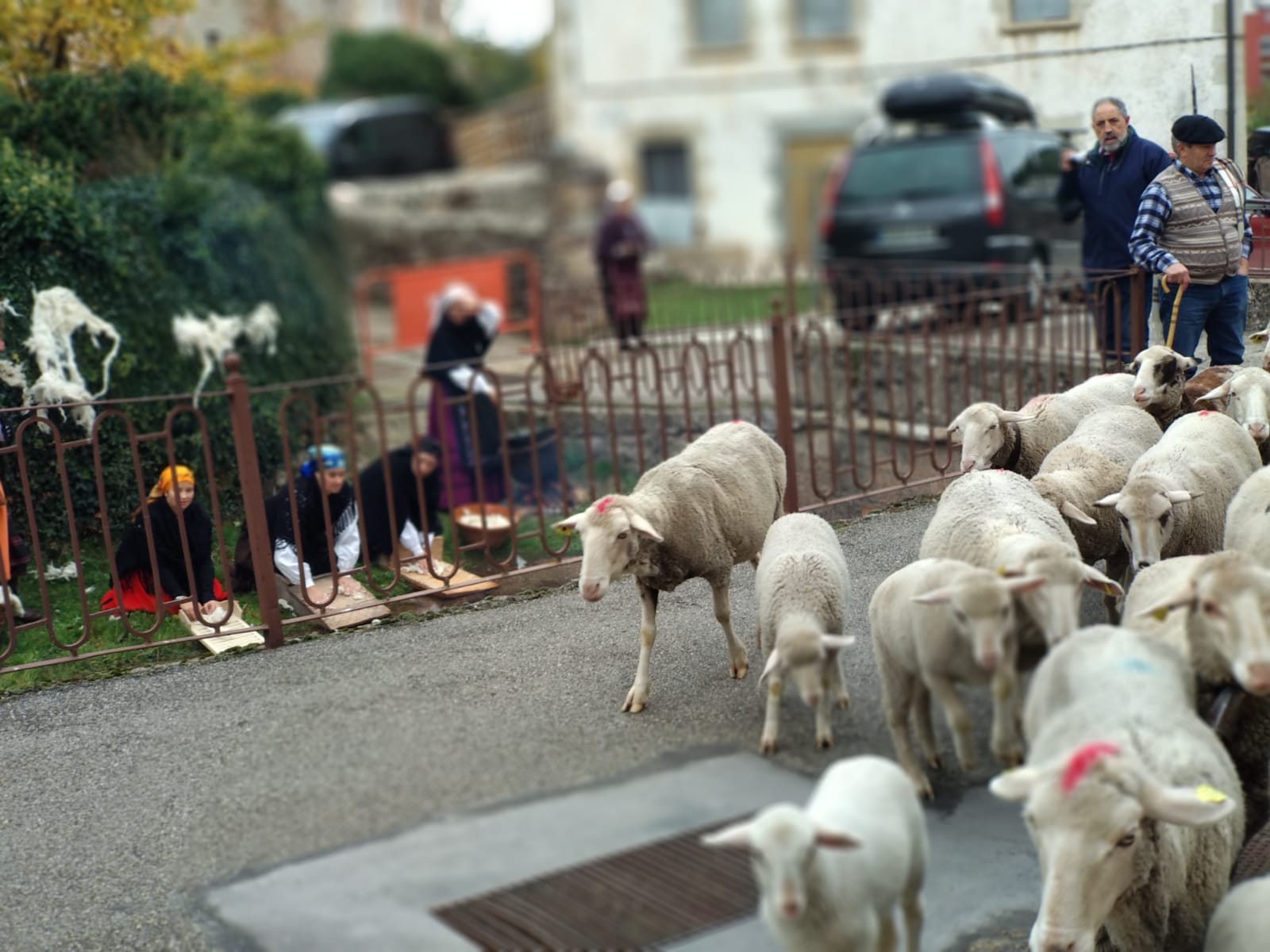 Tolbaños de Arriba recrea el momento de la trashumancia