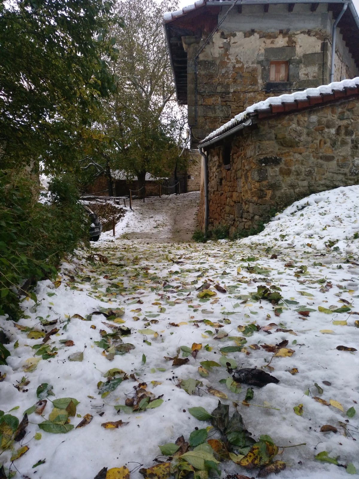 Las temperaturas continúan siendo gélidas estos días pero la alerta por nieve empieza a diluirse