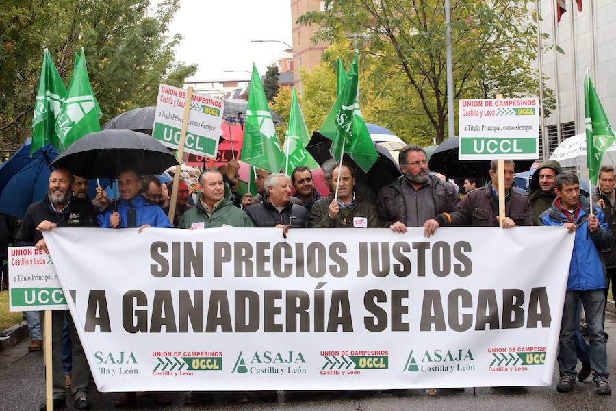 Los ganaderos de ovino de leche durante la manifestación des este martes para reclamar unos precios dignos y por encima de los costes de producción.