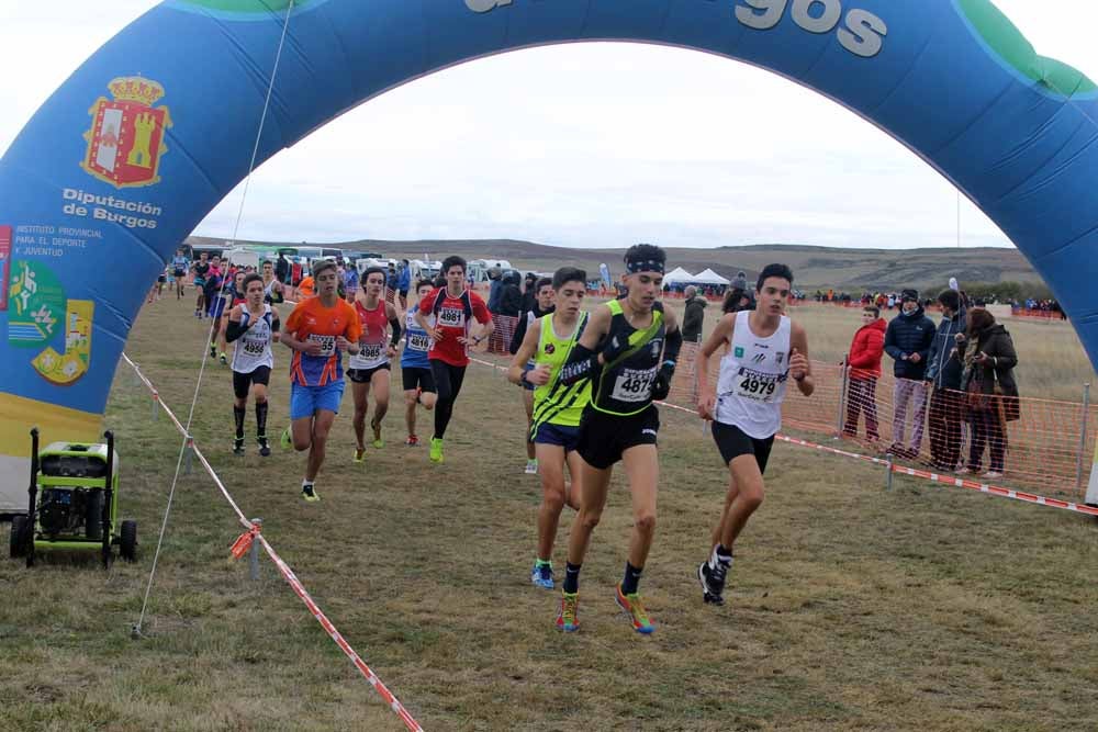Fotos: Más allá de los atletas profesionales. Un cross para todos