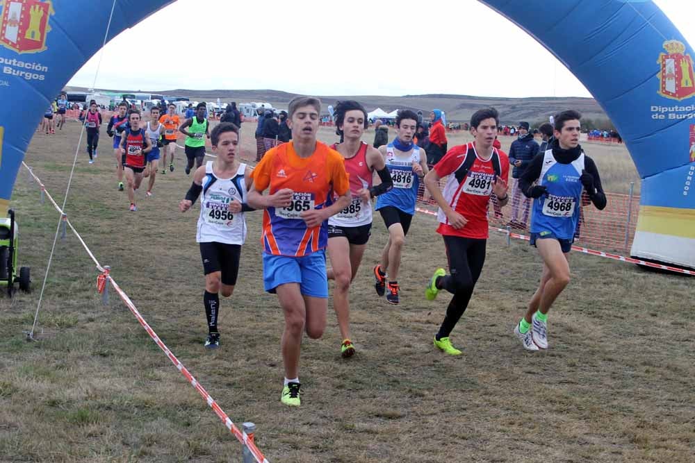 Fotos: Más allá de los atletas profesionales. Un cross para todos