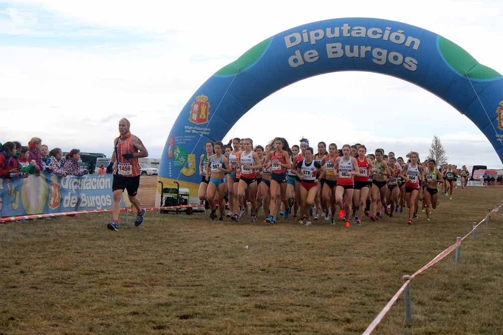 Fotos: Más allá de los atletas profesionales. Un cross para todos