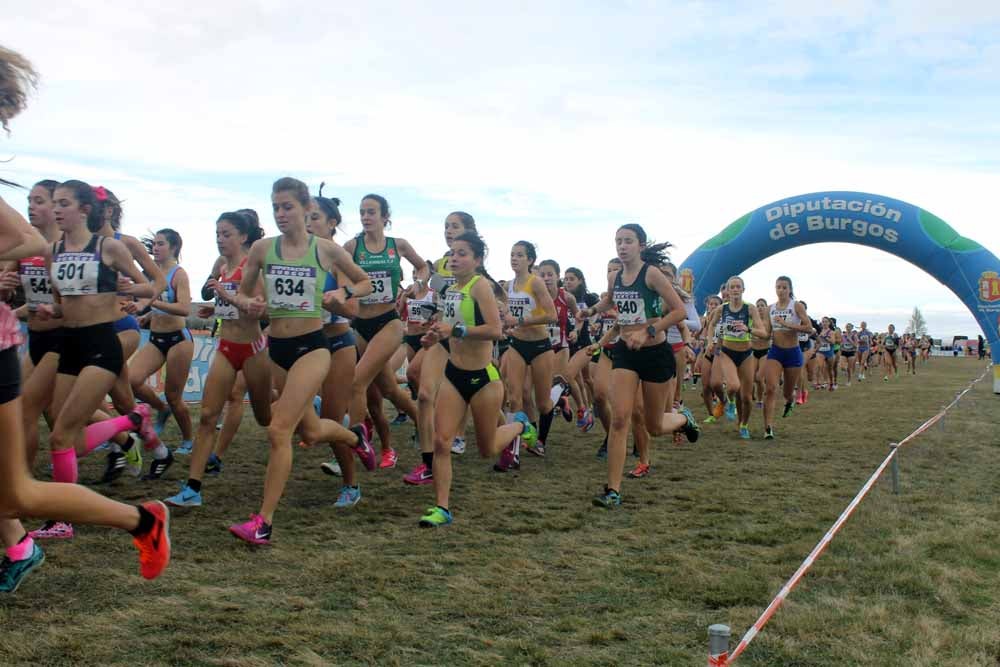 Fotos: Más allá de los atletas profesionales. Un cross para todos