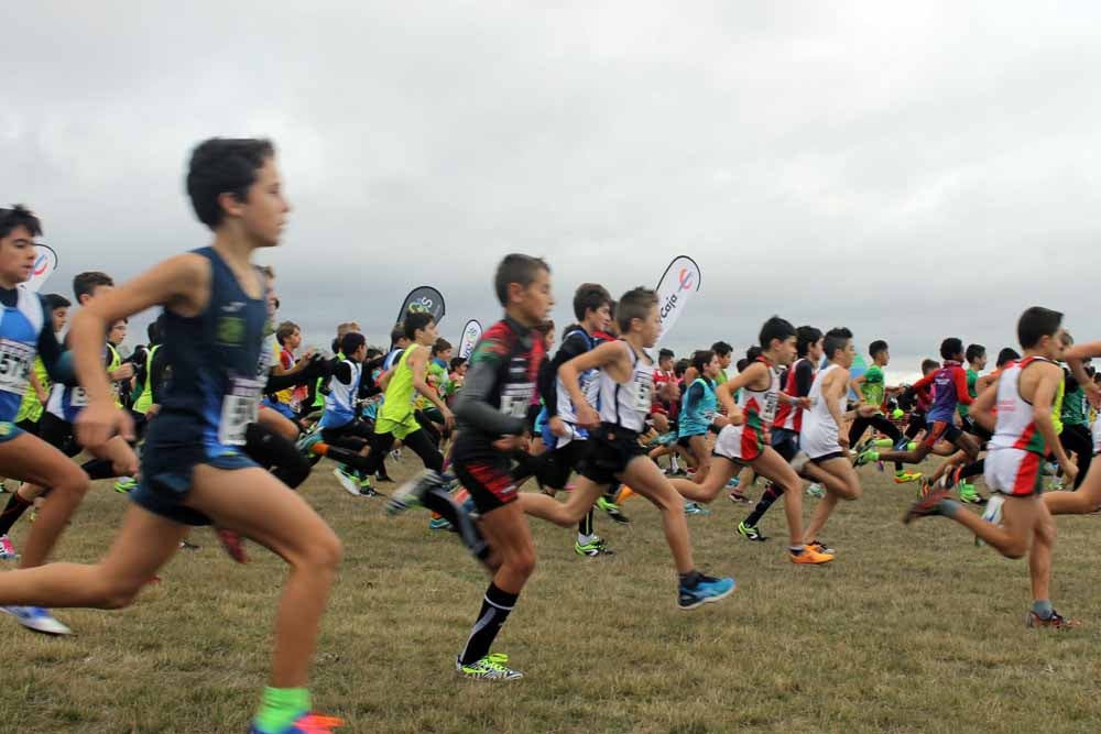 Fotos: Más allá de los atletas profesionales. Un cross para todos