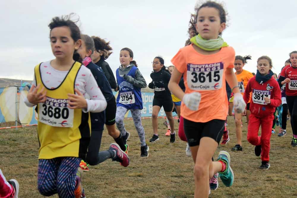 Fotos: Más allá de los atletas profesionales. Un cross para todos