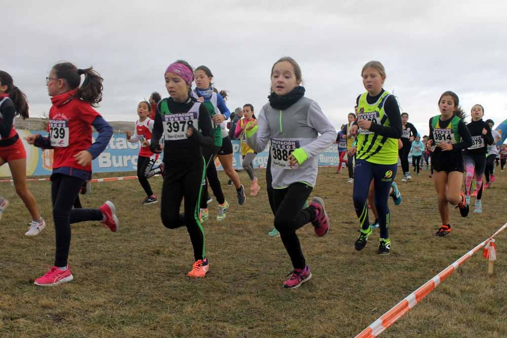Fotos: Más allá de los atletas profesionales. Un cross para todos