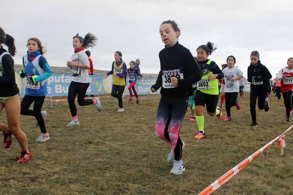 Fotos: Más allá de los atletas profesionales. Un cross para todos