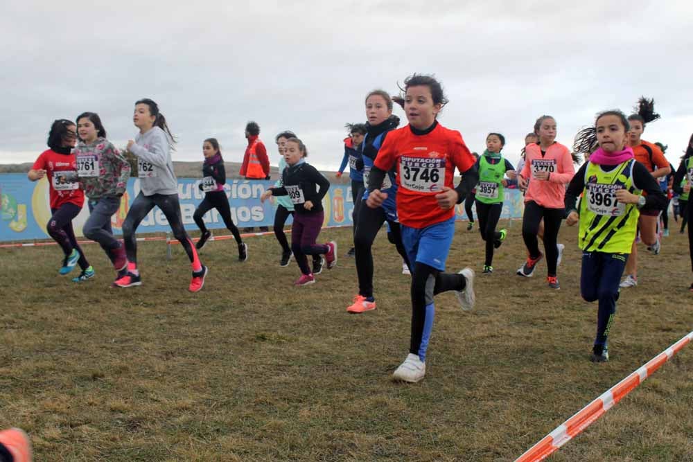 Fotos: Más allá de los atletas profesionales. Un cross para todos