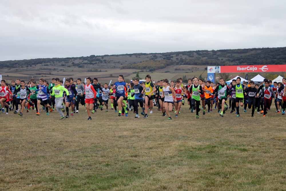 Fotos: Más allá de los atletas profesionales. Un cross para todos