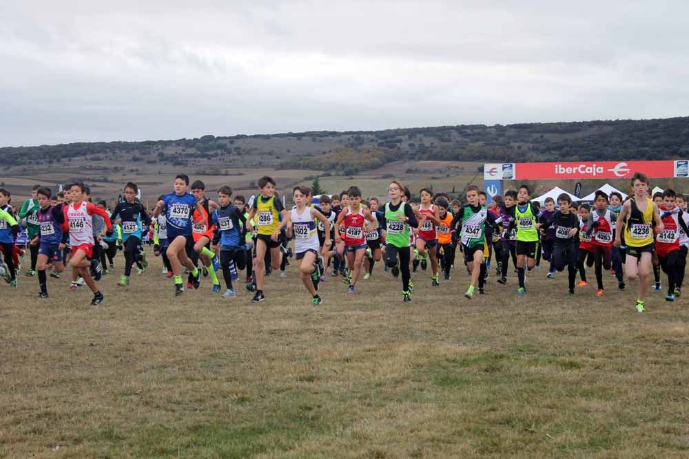 Fotos: Más allá de los atletas profesionales. Un cross para todos