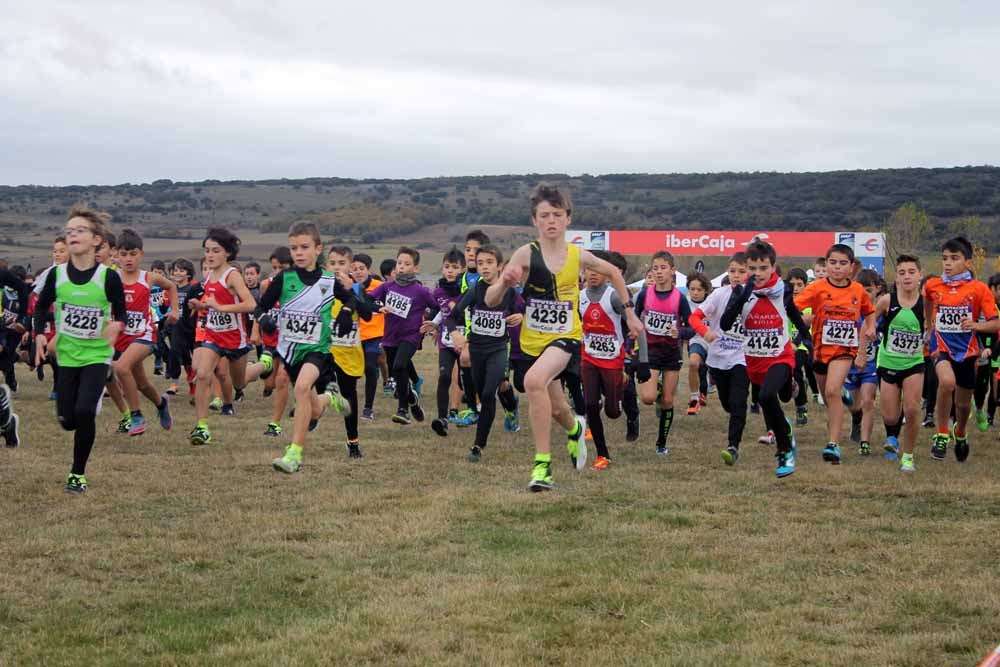 Fotos: Más allá de los atletas profesionales. Un cross para todos
