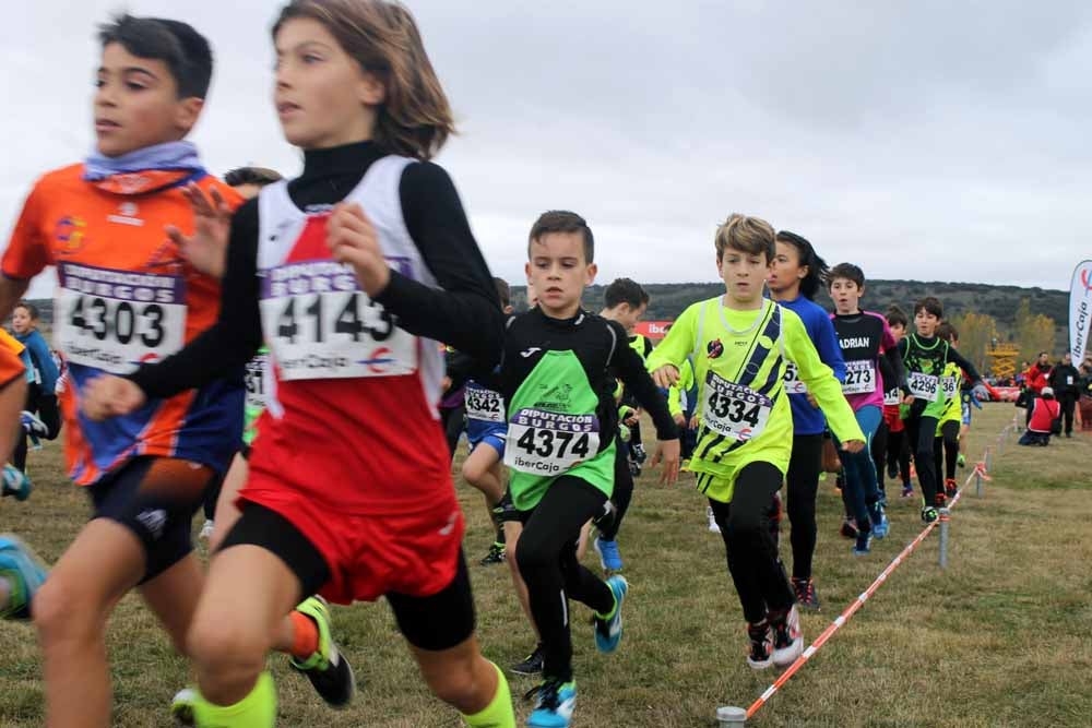 Fotos: Más allá de los atletas profesionales. Un cross para todos