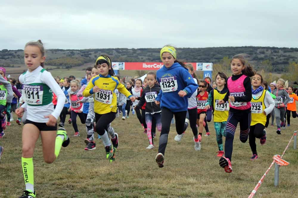 Fotos: Más allá de los atletas profesionales. Un cross para todos