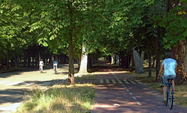 El Paseo de La Quinta será objeto de una remodelación integral. 