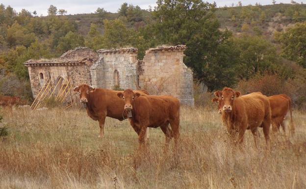 Imagen principal - Situación actual de la ermita de la Blanca.