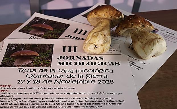 Quintanar de la Sierra celebra sus III Jornadas Micológicas este fin de semana