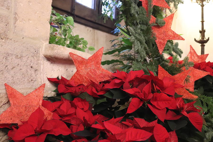 El Palacio de Castilfalé acoge este fin de semana la Muestra Floral de Navidad organizada por la Asociación de Floristas y Jardineros de Burgos