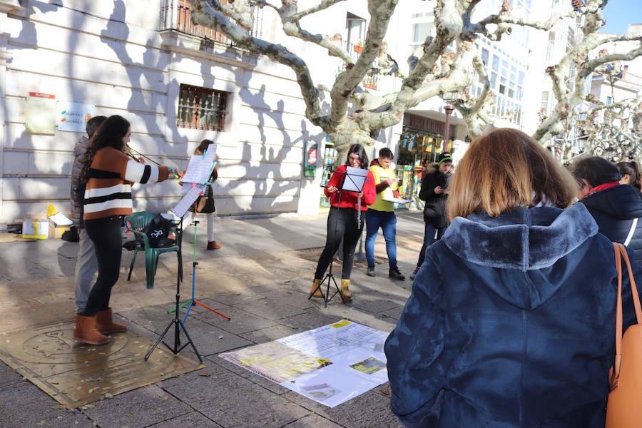 Amnistía Internacional se suma a la celebración del Día contra la Violencia de Género con una instalación artística y un recorrido musical por El Espolón