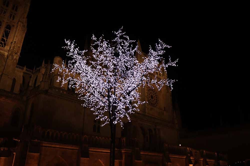 Fotos: La iluminación navideña ya brilla en la ciudad