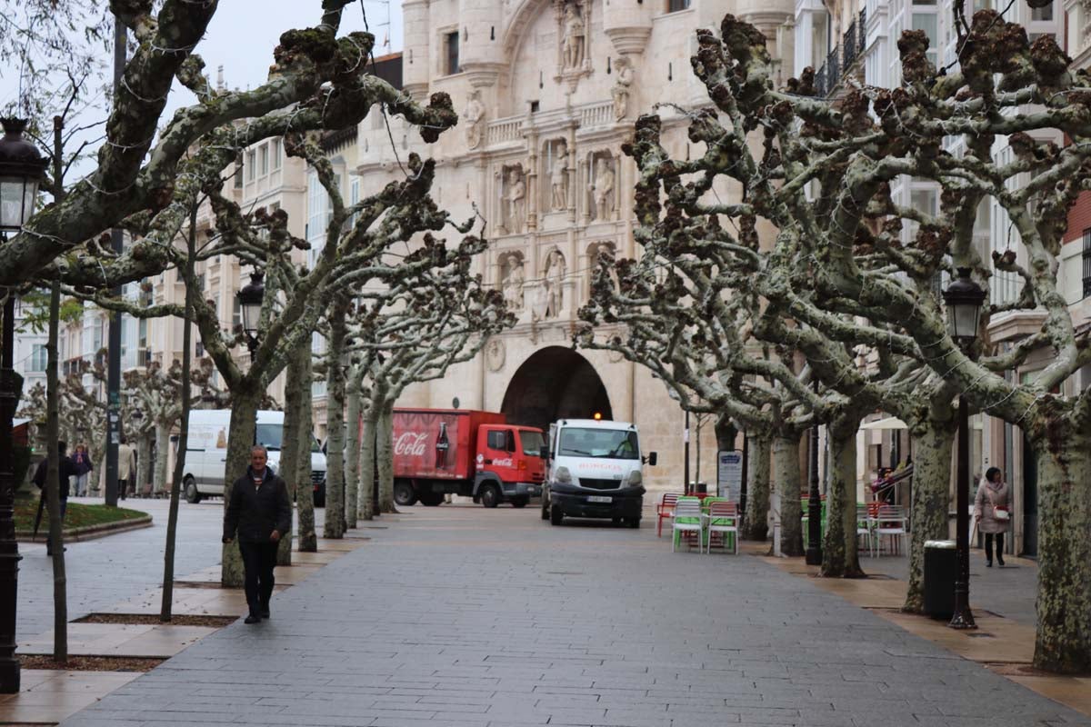 A pesar de las peatonalizaciones abordadas en las últimas décadas en el centro histórico de la ciudad, cientos de vehículos campan a sus anchas cada mañana por ellas.