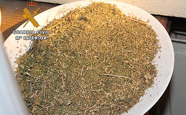 Marihuana triturada. 