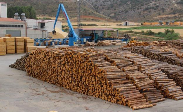 Empresa maderera Ribsa, en el municipio de Huerta del Rey. 