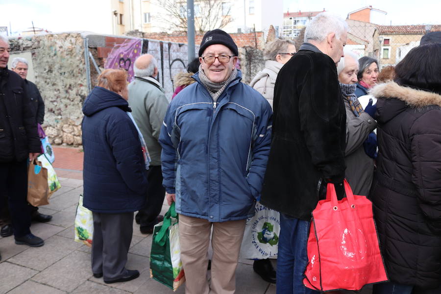 Fotos: ¿Has ido a recoger titos este año? Búscate en estas fotografías