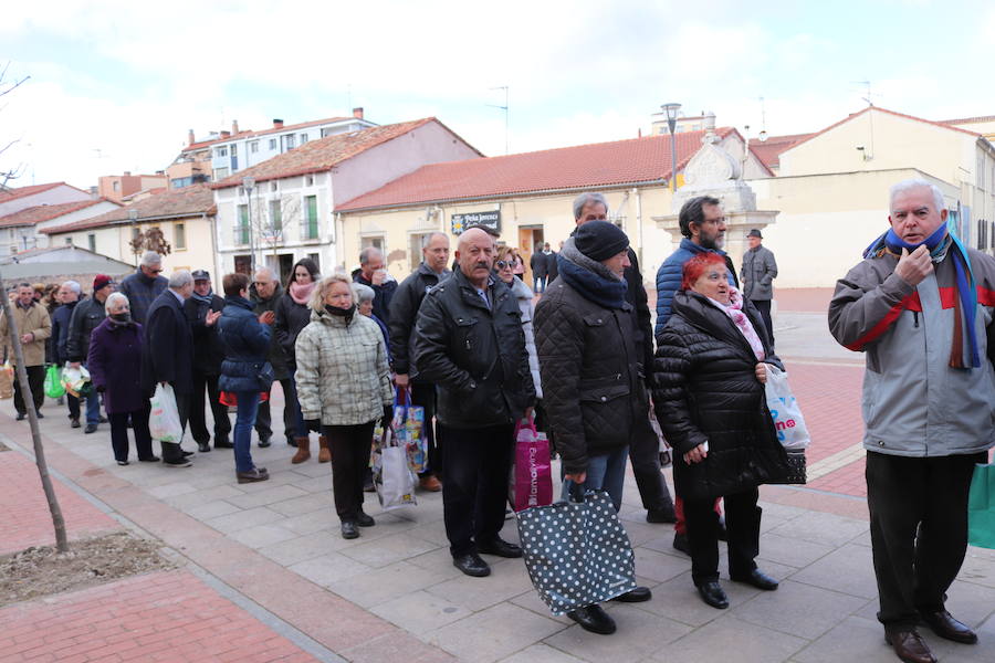 Fotos: ¿Has ido a recoger titos este año? Búscate en estas fotografías