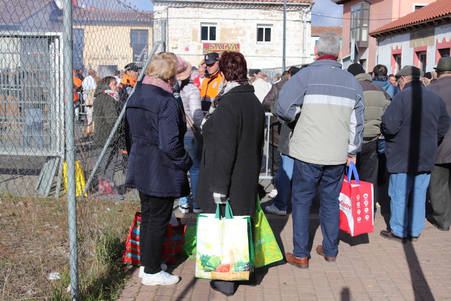 Fotos: ¿Has ido a recoger titos este año? Búscate en estas fotografías