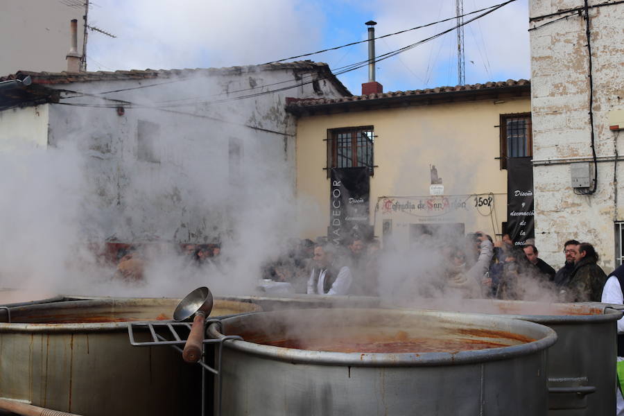 Fotos: ¿Has ido a recoger titos este año? Búscate en estas fotografías