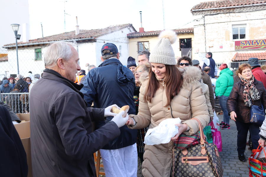 Fotos: ¿Has ido a recoger titos este año? Búscate en estas fotografías
