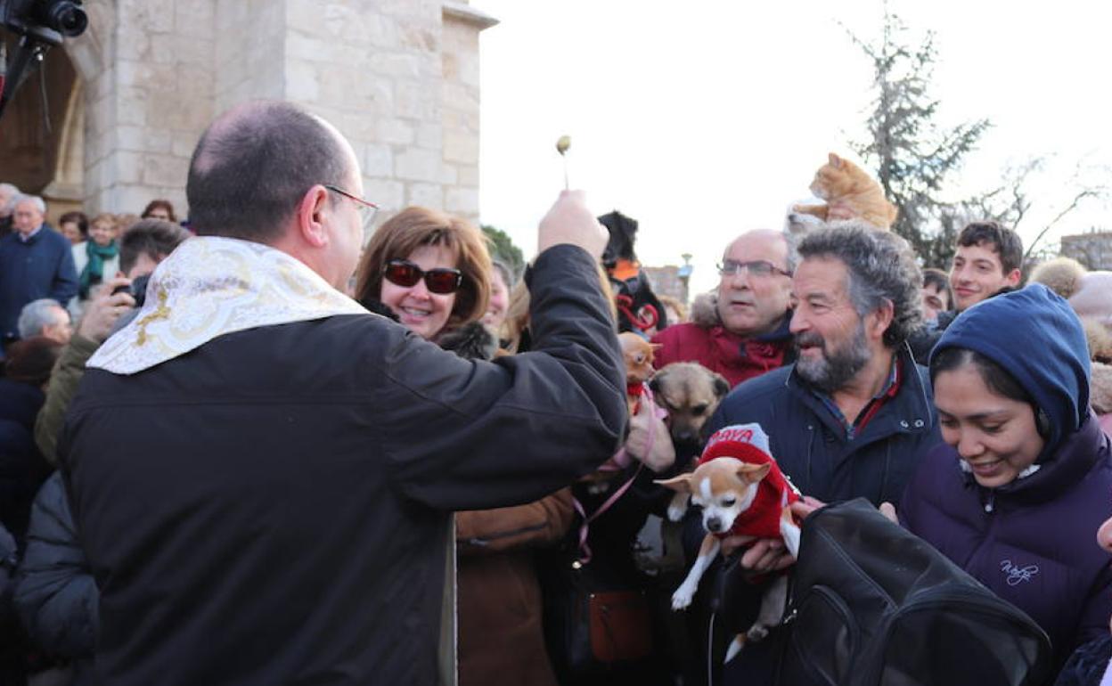 Momento en que se ha bendecido a los animlales