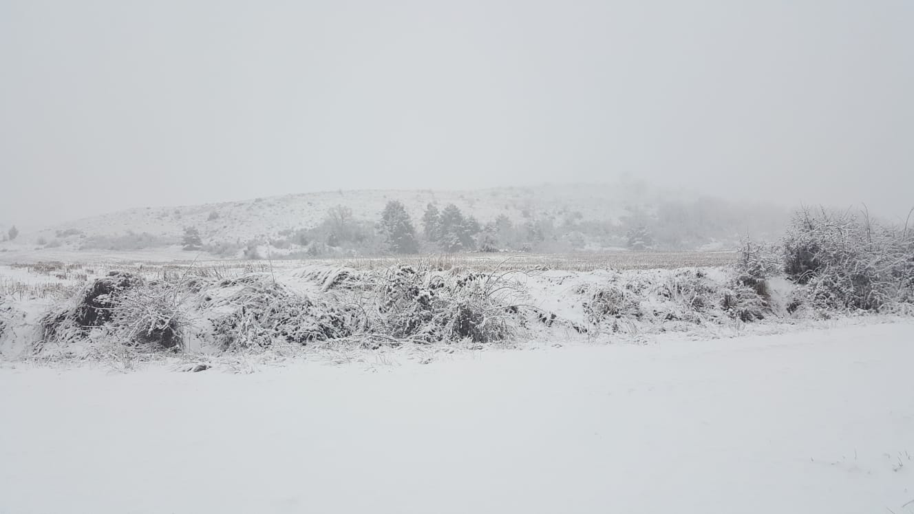 Fotos: La nieve pinta la provincia