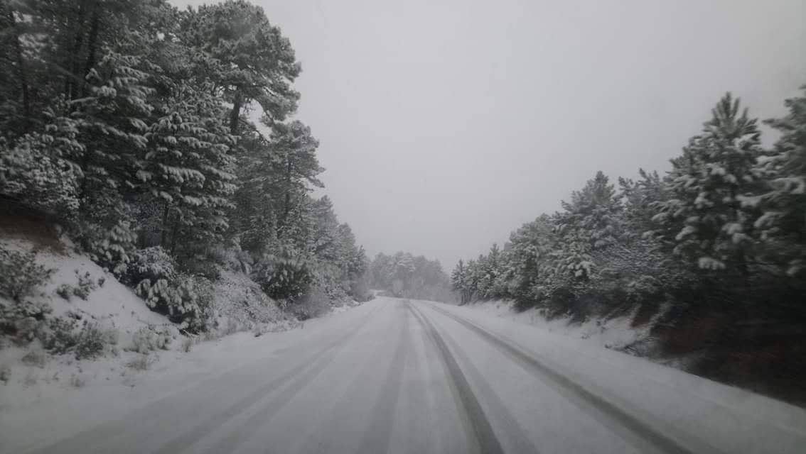 Fotos: La nieve pinta la provincia