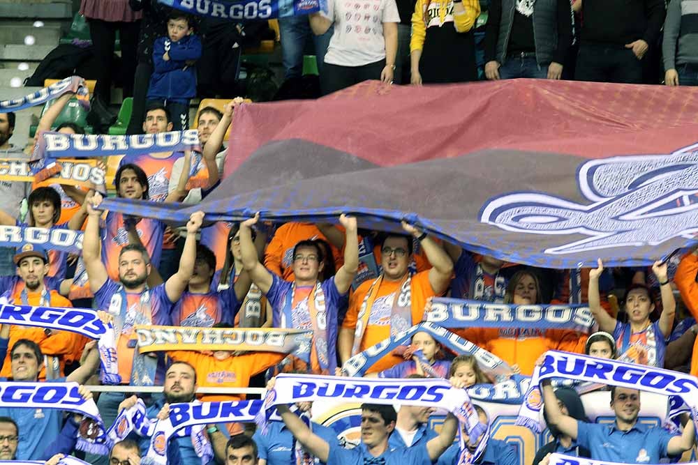 Fotos: Si has estado siguiendo al San Pablo Burgos en el Coliseum, ¡búscate!