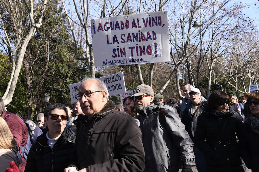 Fotos: Manifestación en Valladolid en defensa de la sanidad pública de Castilla y León