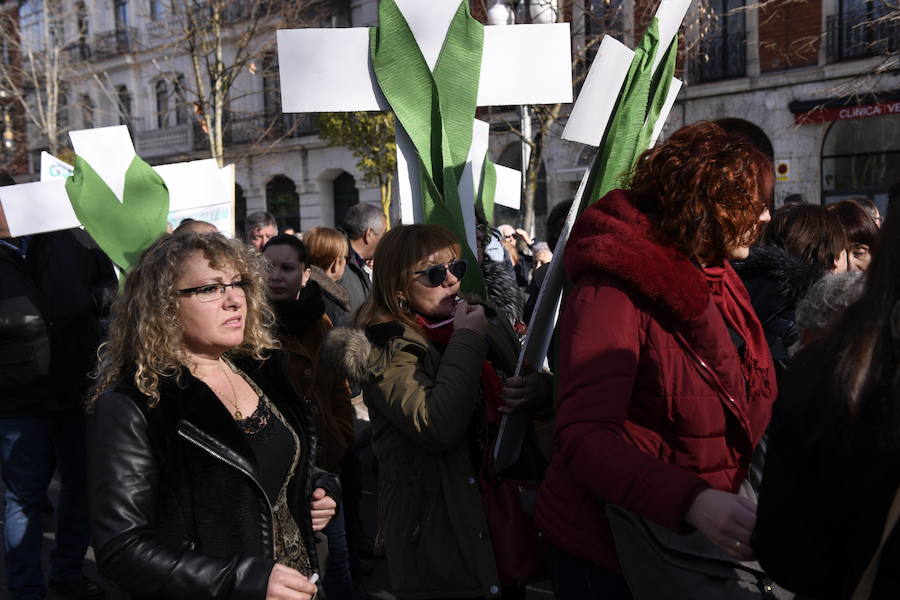 Fotos: Manifestación en Valladolid en defensa de la sanidad pública de Castilla y León