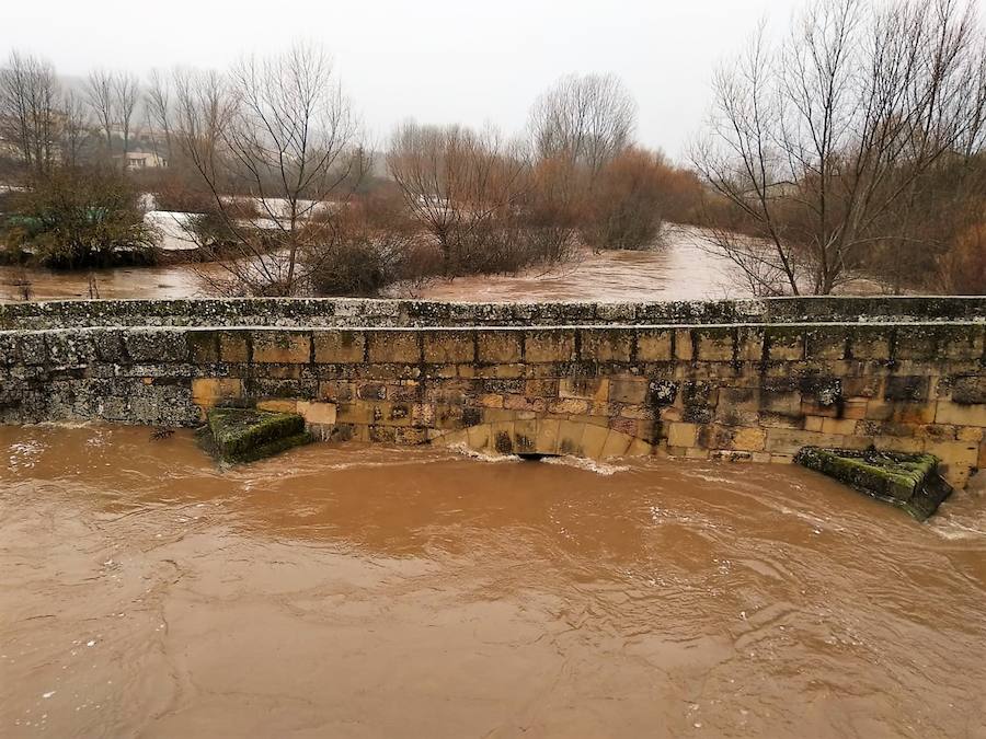 El Arlanza a su paso por Palacios de la Sierra.