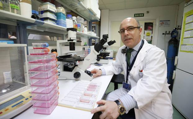 El doctor Fermín Sánchez-Guido Martín, director del área de Terapia Celular del hospital de Salamanca y del IBSAL. 