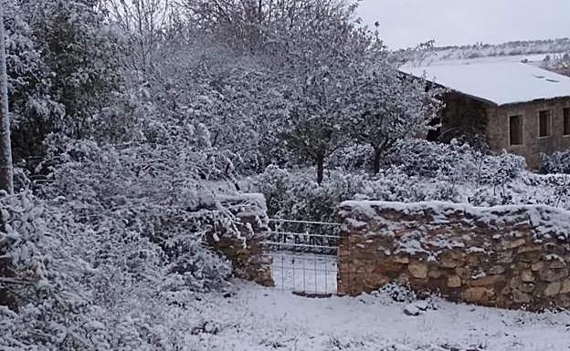 Foto de archivo de una nevada