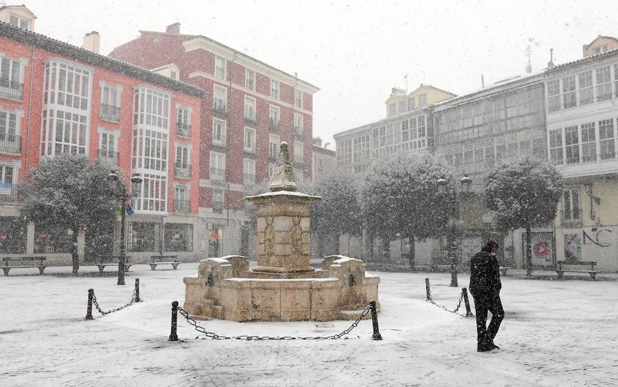 Fotos: La nieve que no verás si no has madrugado