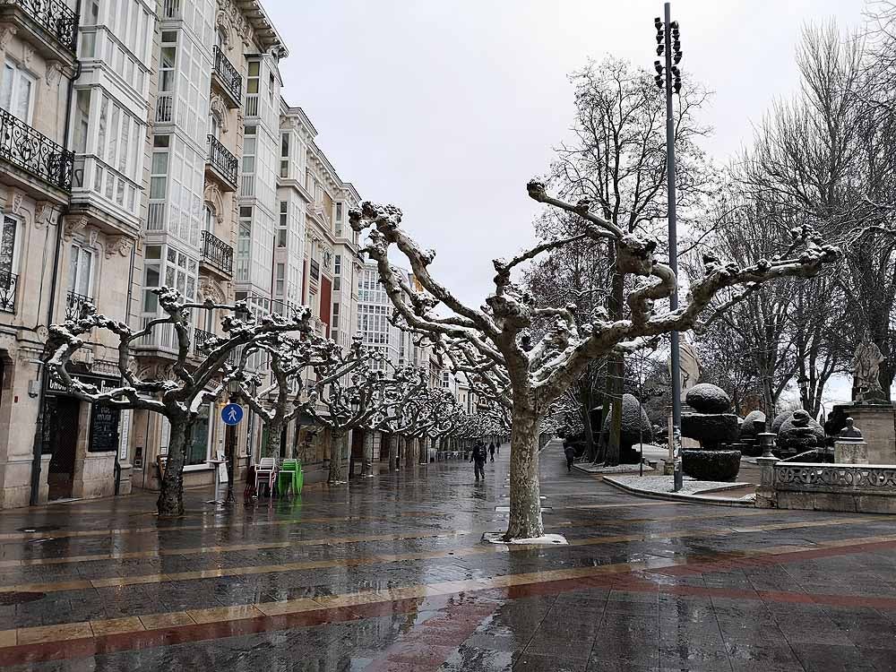 Fotos: La nieve que no verás si no has madrugado