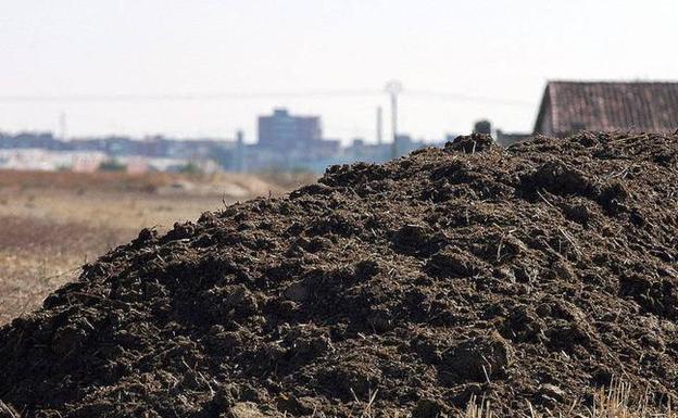 Montón de purín preparado para abonar cultivos en Medina del Campo. 